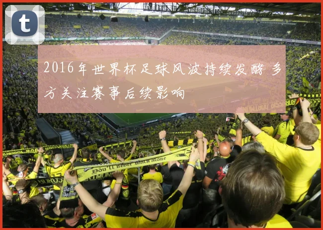 2016年世界杯足球风波持续发酵 多方关注赛事后续影响