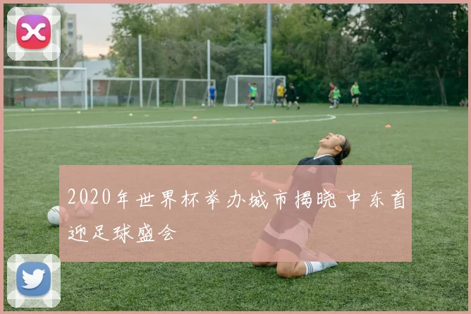 2020年世界杯举办城市揭晓 中东首迎足球盛会